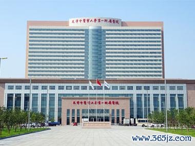 丹东试管婴儿助孕服务信息查询平台